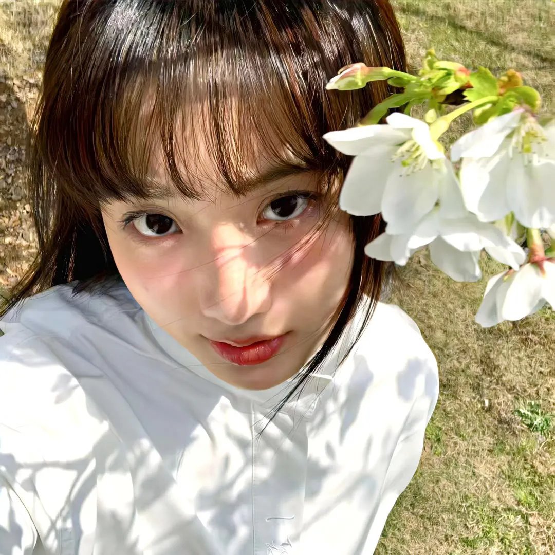 希区柯克与特吕弗国语